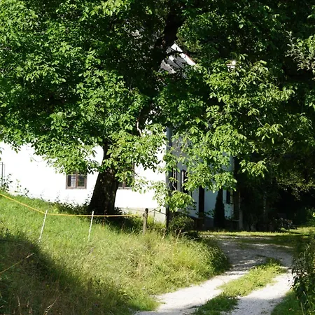 Forsthaus Gut Traunfried * Ramsau am Dachstein