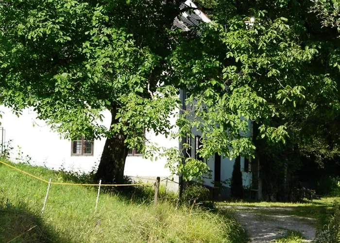 Forsthaus Gut Traunfried * 拉姆绍达赫斯坦